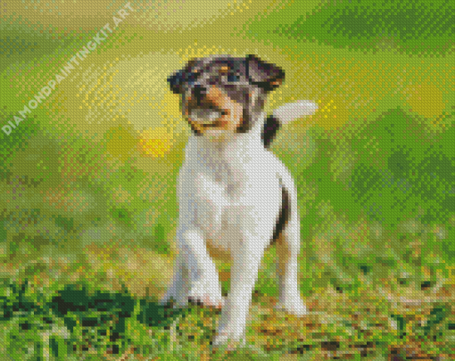 Toy Fox Terrier Diamond Painting