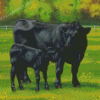 Aberdeen Angus Cows Diamond Painting