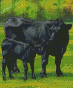 Aberdeen Angus Cows Diamond Painting