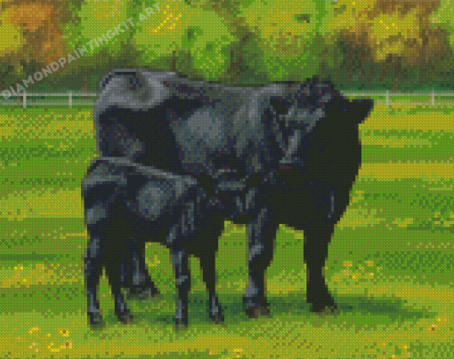 Aberdeen Angus Cows Diamond Painting