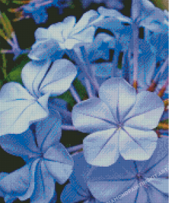 Periwinkle Flowers Diamond Painting