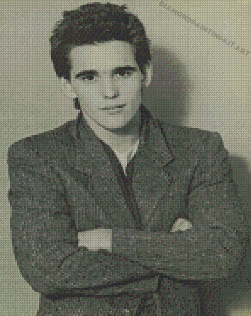 Black And White Matt Dillon Diamond Painting