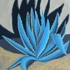 Blue Agave Shadow Diamond Painting