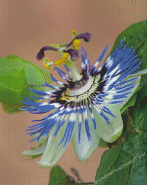 Blue Passion Flower Diamond Painting