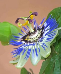 Blue Passion Flower Diamond Painting