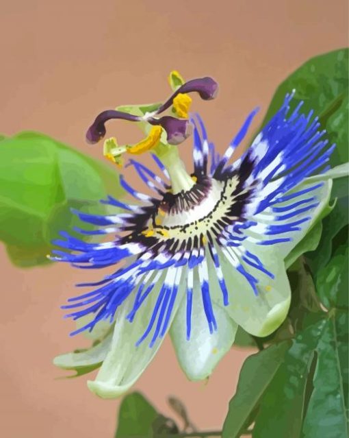 Blue Passion Flower Diamond Painting