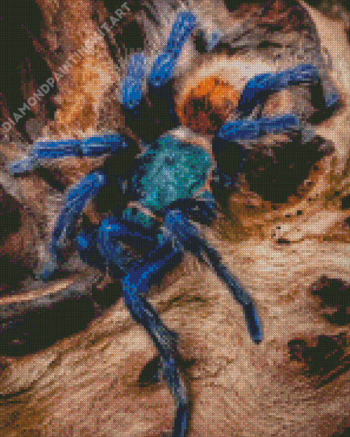 Spider Animal Diamond Painting