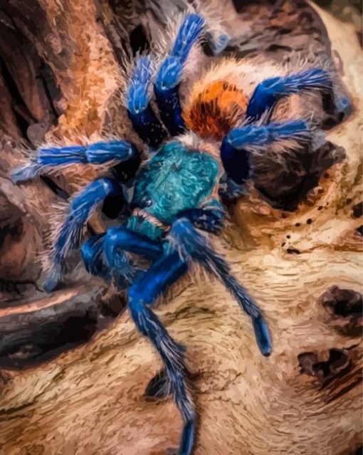 Spider Animal Diamond Painting