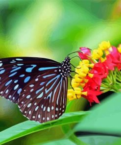 Blue Tiger Butterfly Diamond Painting