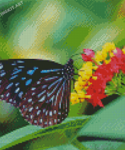 Blue Tiger Butterfly Diamond Painting