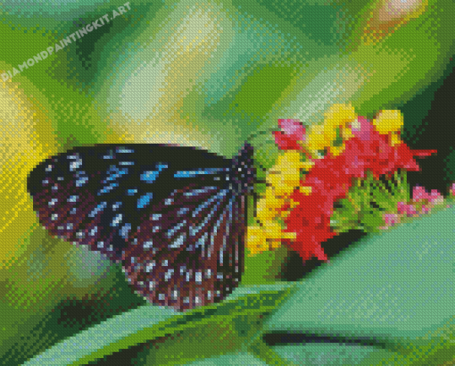 Blue Tiger Butterfly Diamond Painting