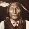 Chief Wolf Robe Diamond Painting