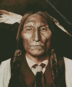 Chief Wolf Robe Diamond Painting