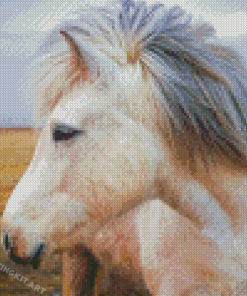 White Icelandic Horse Diamond Painting