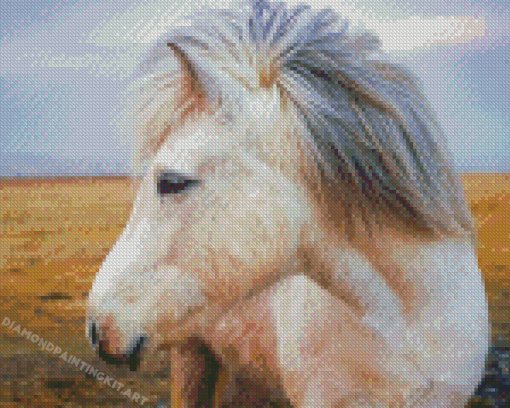 White Icelandic Horse Diamond Painting