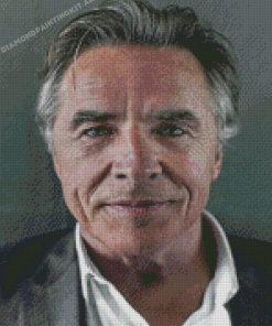 Close Up Don Johnson Diamond Painting