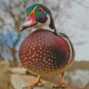 Wood Duck Diamond Painting