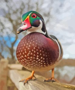 Wood Duck Diamond Painting