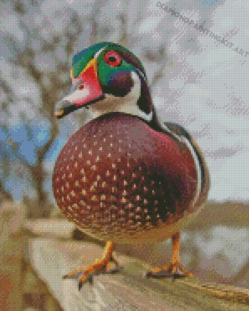 Wood Duck Diamond Painting