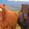 Brown Icelandic Horse Diamond Painting