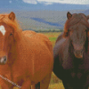 Brown Icelandic Horse Diamond Painting