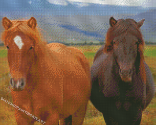 Brown Icelandic Horse Diamond Painting