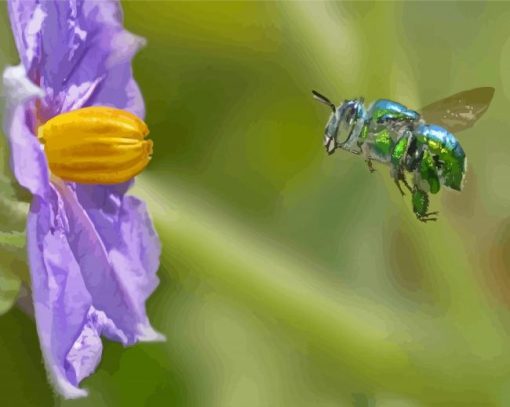 Euglossa Bazinga Diamond Painting