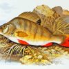 European Perch Art Diamond Painting