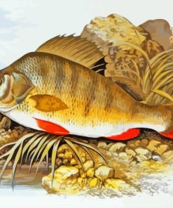 European Perch Art Diamond Painting