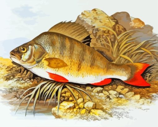 European Perch Art Diamond Painting