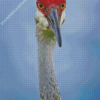 Sandhill Crane Diamond Painting