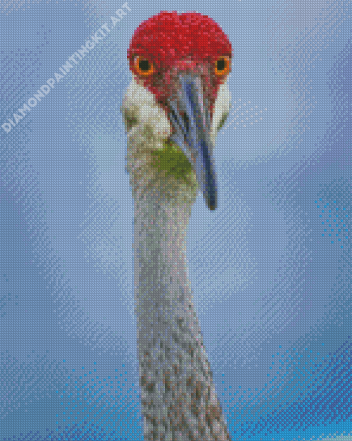 Sandhill Crane Diamond Painting