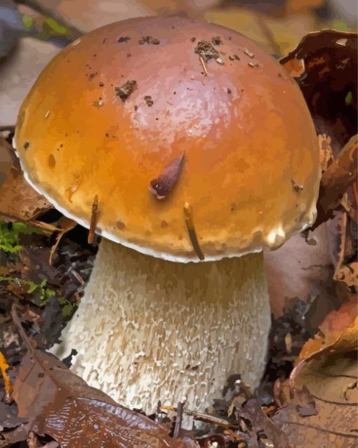 Boletus Edulis Diamond Painting