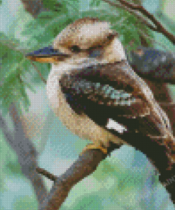 Kookaburra Bird Diamond Painting