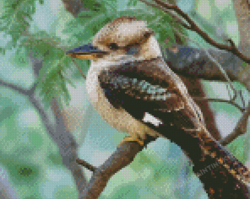 Kookaburra Bird Diamond Painting