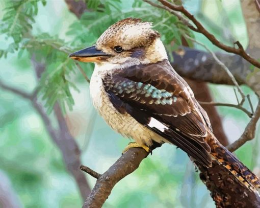 Kookaburra Bird Diamond Painting