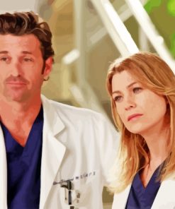 Meredith Grey And Derek Diamond Painting