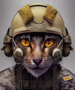 Cool Military Cat Diamond Painting