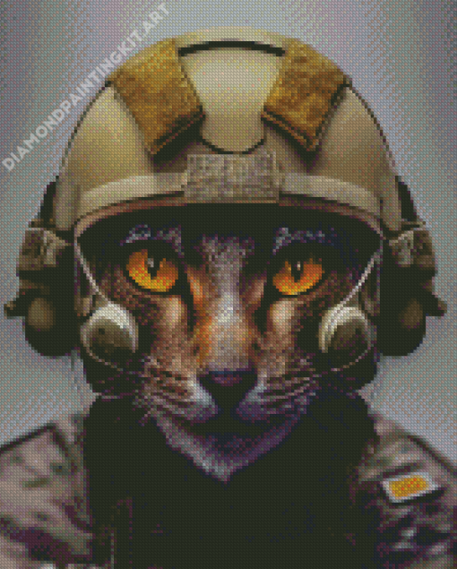 Cool Military Cat Diamond Painting