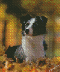 Mini Sheep Dog Diamond Painting