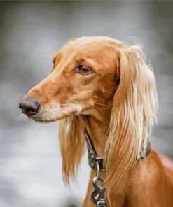 Monochrome Saluki Dog Diamond Painting