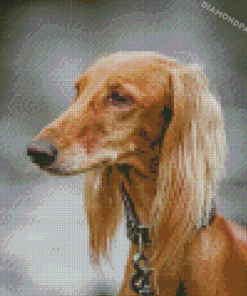 Monochrome Saluki Dog Diamond Painting