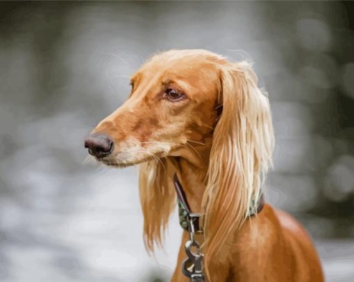 Monochrome Saluki Dog Diamond Painting