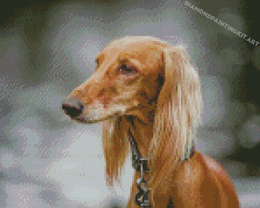 Monochrome Saluki Dog Diamond Painting