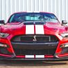 Mustang Shelby Gt500 Diamond Painting