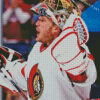 Ottawa Senators Ice Hockey Diamond Painting