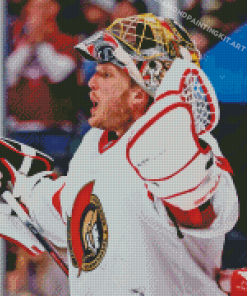 Ottawa Senators Ice Hockey Diamond Painting