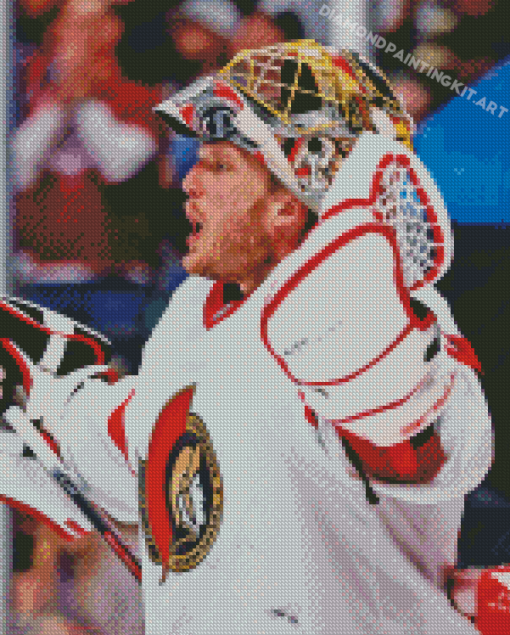 Ottawa Senators Ice Hockey Diamond Painting