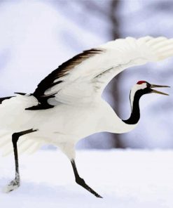 Red Crowned Crane Diamond Painting