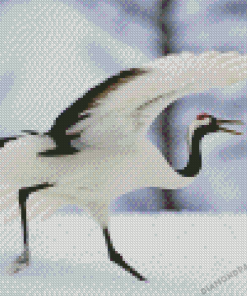 Red Crowned Crane Diamond Painting